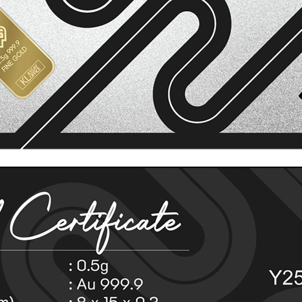 Gold Bar 2g v2.3